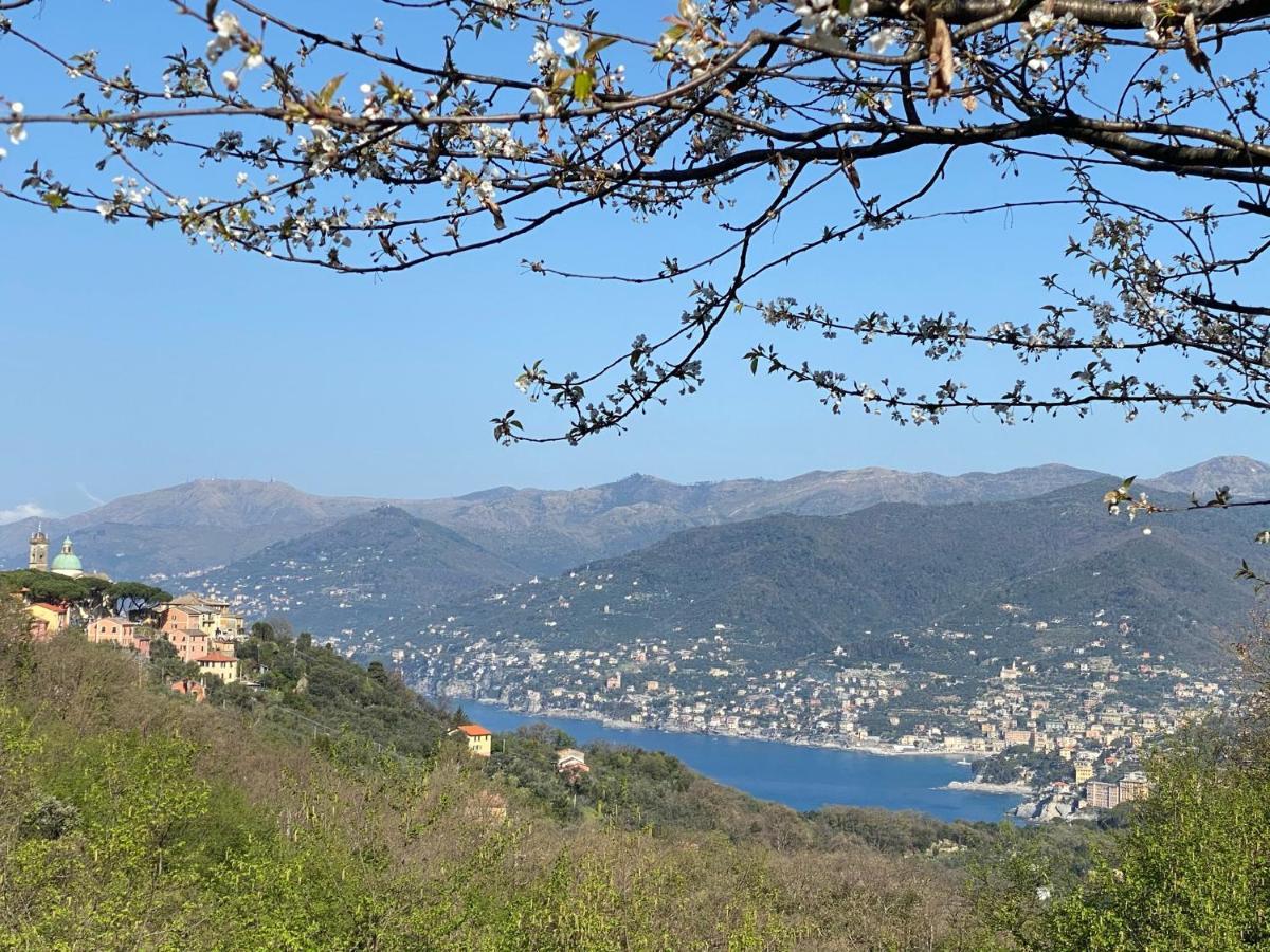 Liguria Home 4 - Recco Centro A 2 Minuti Dal Mare Екстериор снимка